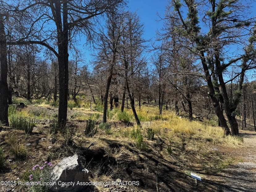 Lots & Land-Other in Ruidoso