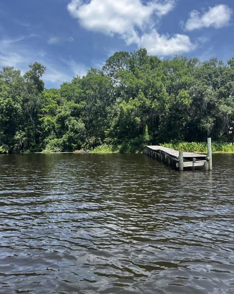 Vacant Land (0-10 Acres) in Palatka - Palatka, Florida, 32177
