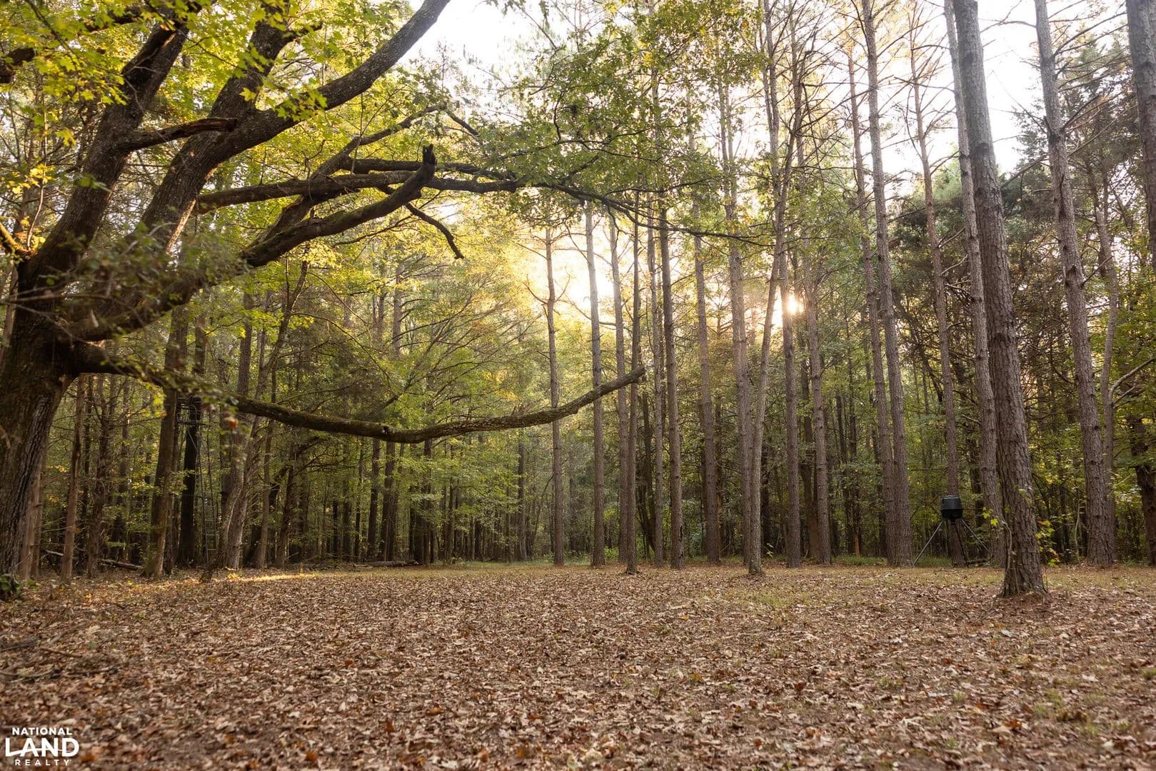 Una 82± Acre Hunting Property - West Point, Mississippi, 39773