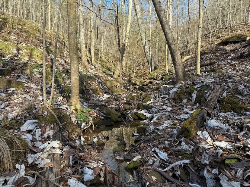 Addison Hardwood & Homesite - 9.5+/- Acres Winston Co. AL