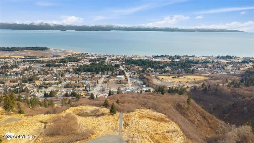 Vacant Land in Homer