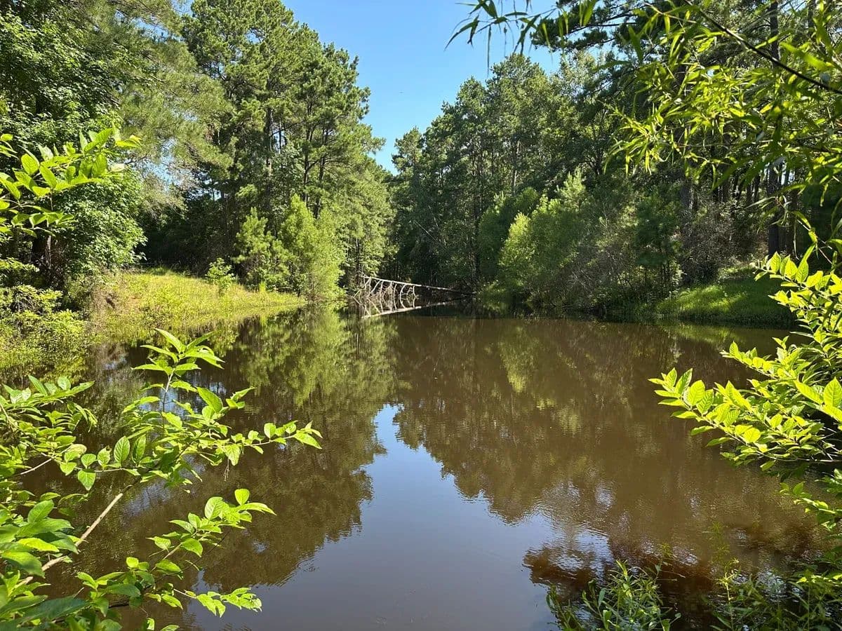 Carlton Longleaf Tract - Diboll, Texas, 75941