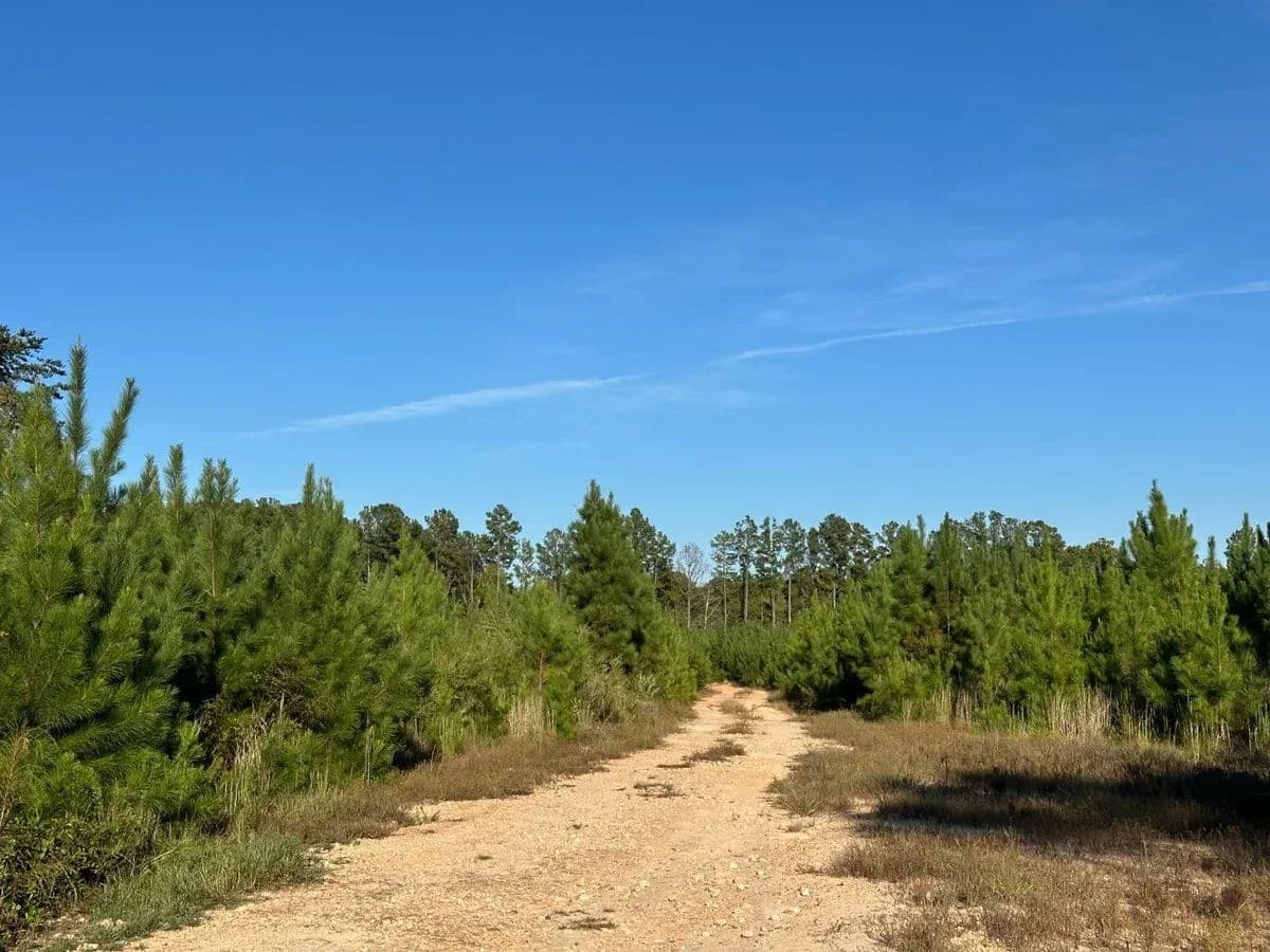 Sylvan Hills - Wilksburg, South Carolina, 29706
