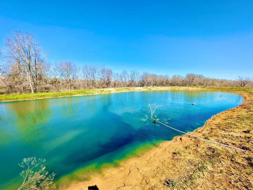 Property from 1118 County Road 447 - KW