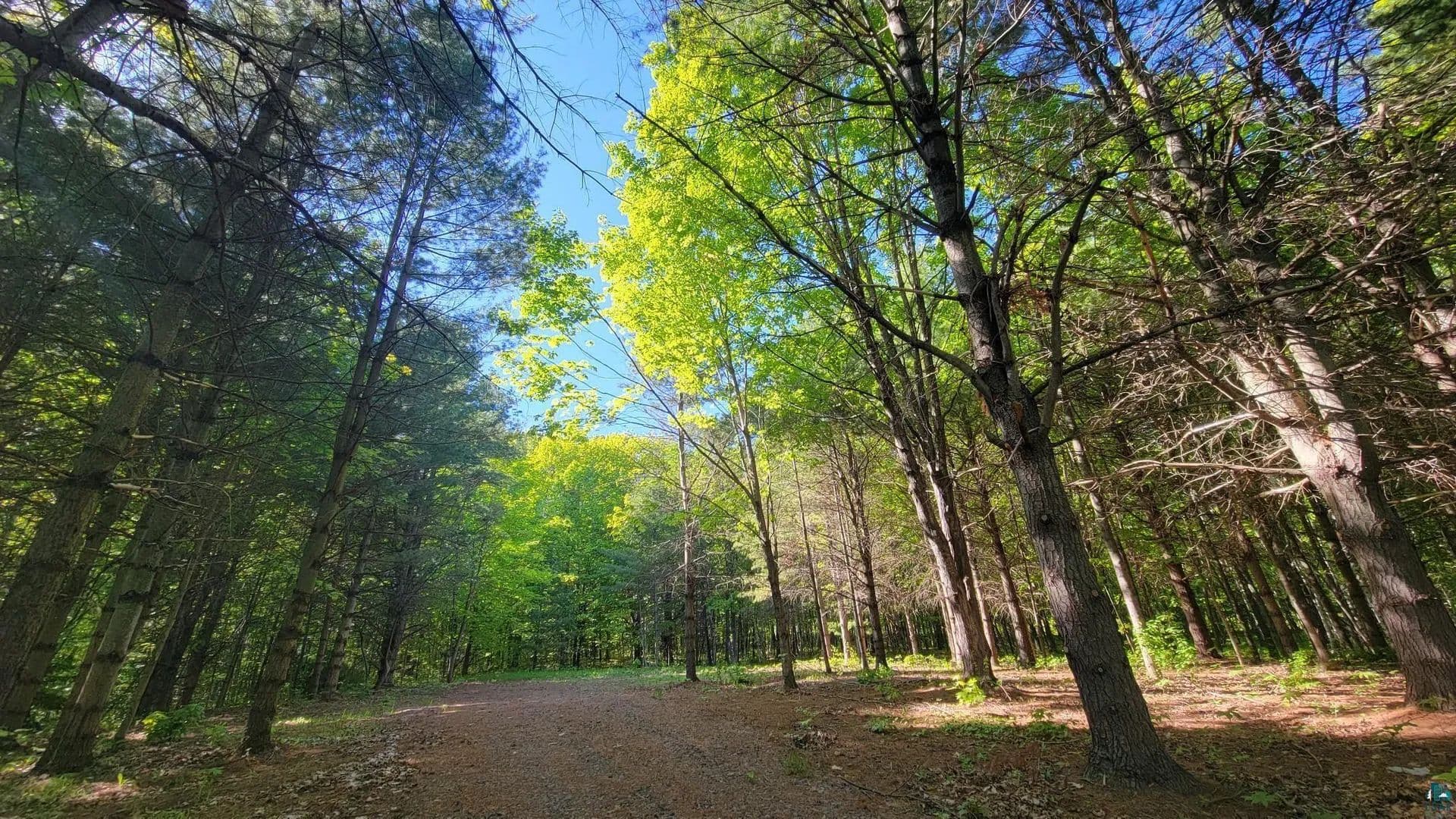 Vacant Land in Bayfield - Bayfield, Wisconsin, 54814