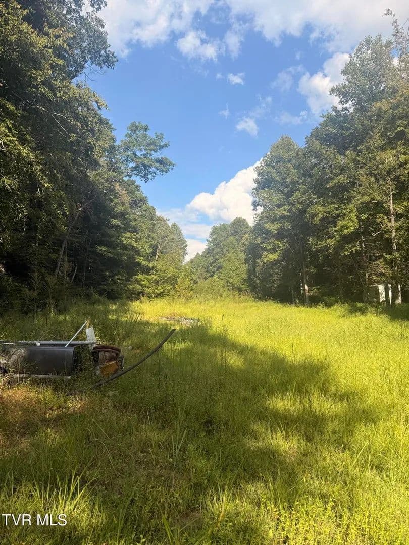 Vacant Land in Rogersville - Rogersville, Tennessee, 37857