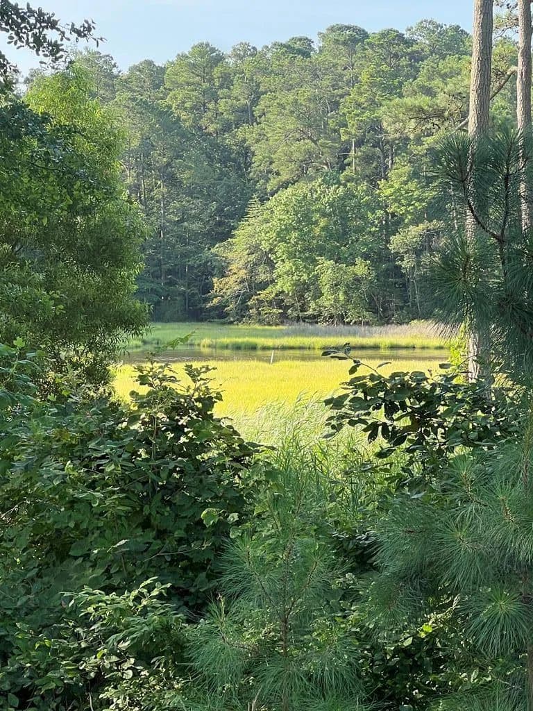 Land -Single Family Acreage in New Church