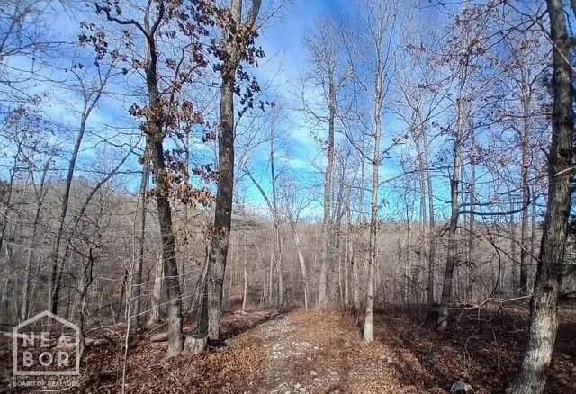Vacant Land in Ravenden - Ravenden, Arkansas, 72459