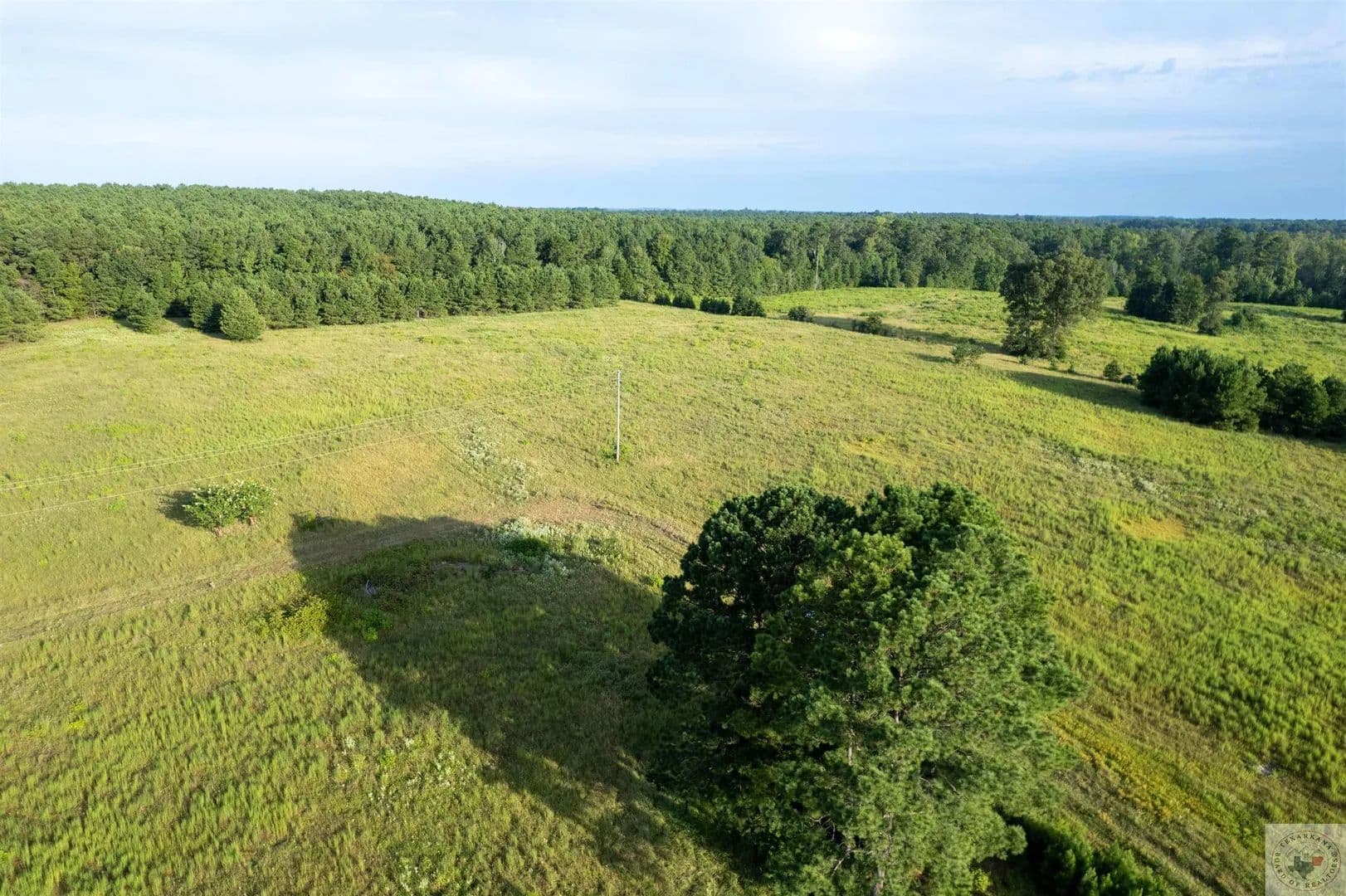 Vacant Land in Atlanta - Atlanta, Texas, 75551