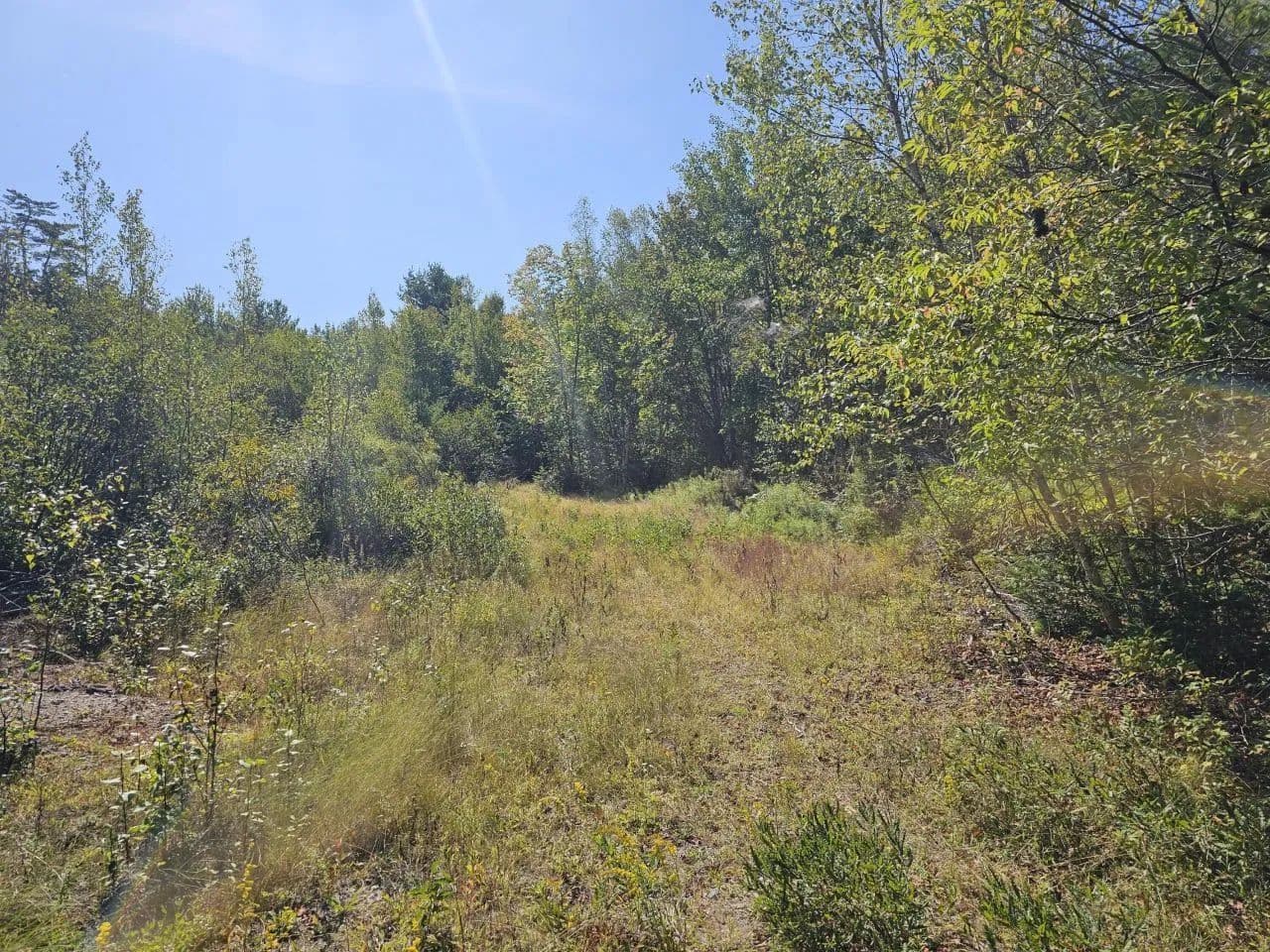 Vacant Land in Northfield - Northfield, Maine, 04654
