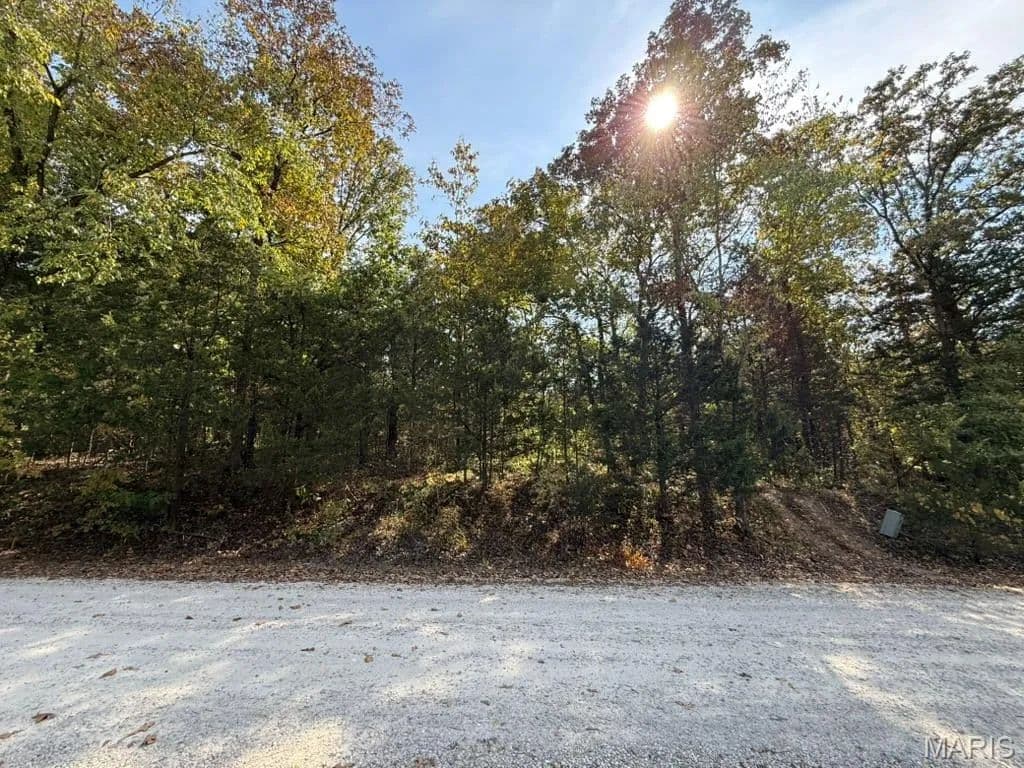 Vacant Land in De Soto - De Soto, Missouri, 63020