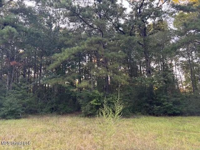 3 acres near McComb, Mississippi - land for sale
