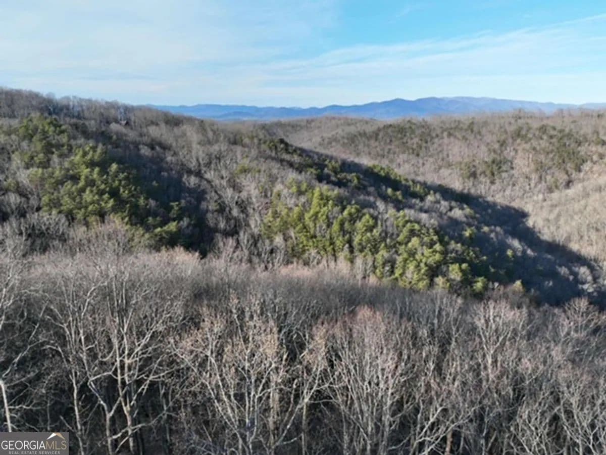 3.39 Acres of Land for Sale in Ellijay, GA - Ellijay, Georgia, 30536