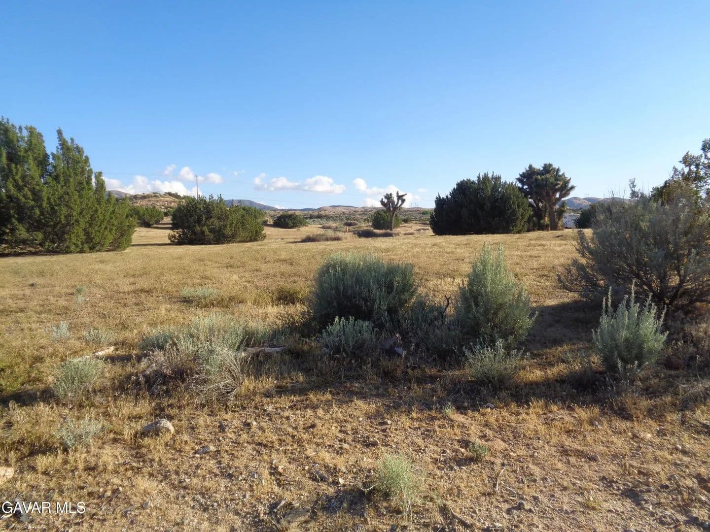Lots & Land-Other in Palmdale - Palmdale, California, 93550
