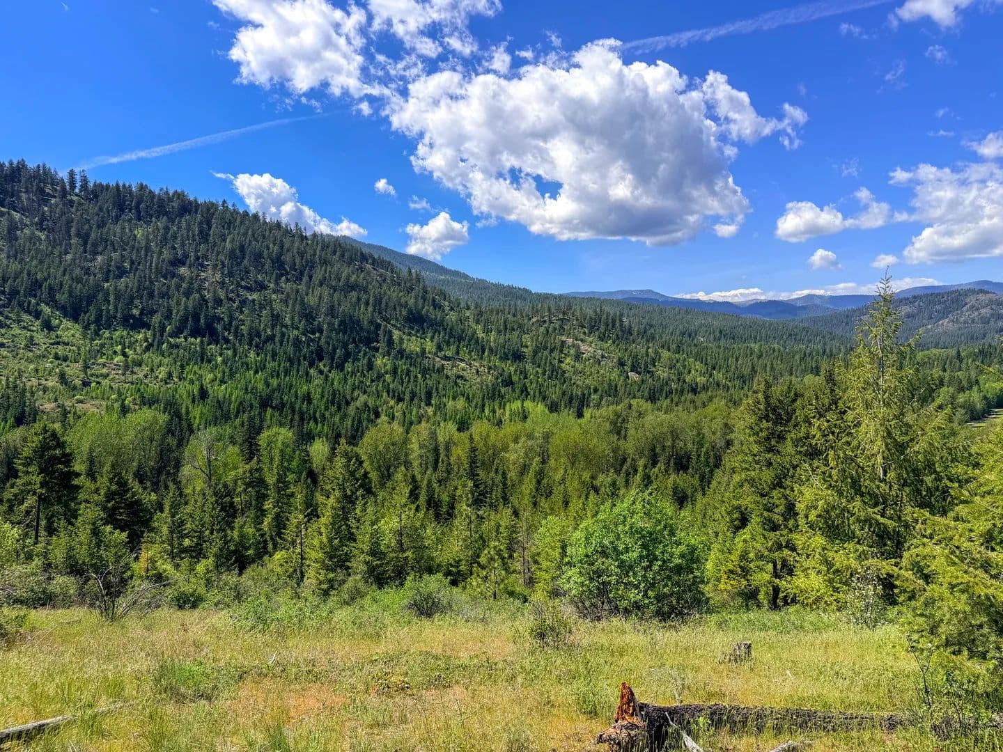 Vacant Land (10+ Acres) in Valley - Valley, Washington, 99181