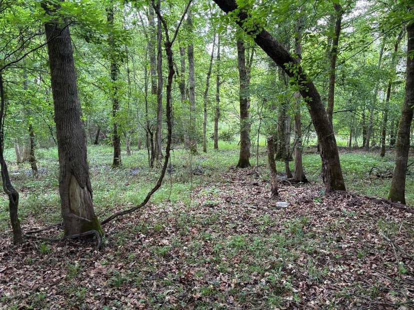 10 Acres – Secluded Hunter’s Paradise