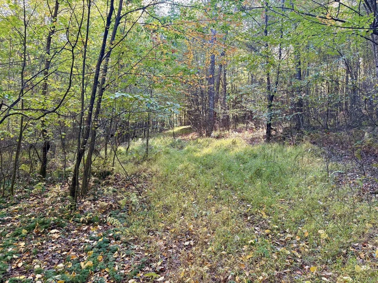 Dinner Bell Rd. (Parcel 2) 10+/- Acres - Farmington, Pennsylvania, 15437