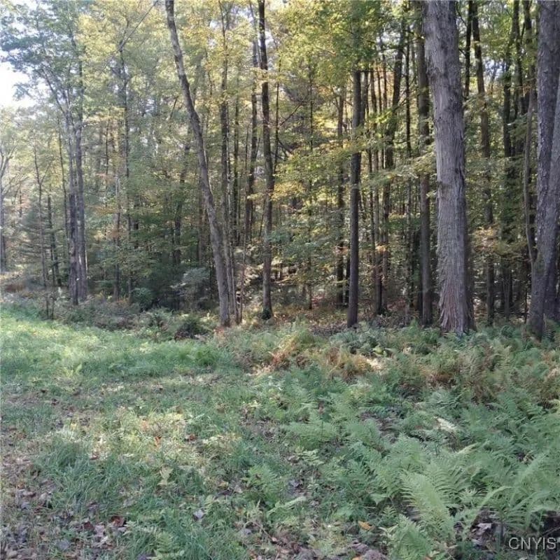 Land -Single Family Acreage in Cleveland