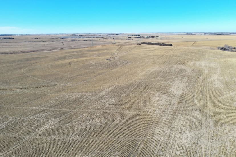 158+/- Acres For Sale in Kearney County, NE