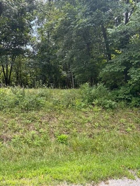 Vacant Land in Greenup
