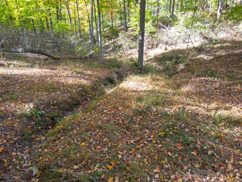 Lots & Land-Other in Chillicothe