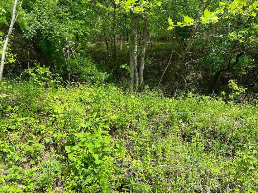 Lots & Land-Other in East Lynn