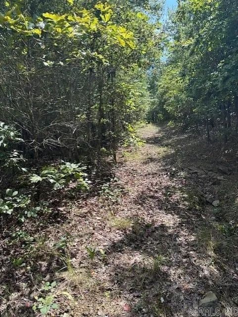 Lots & Land-Other in Roland - Roland, Arkansas, 72223