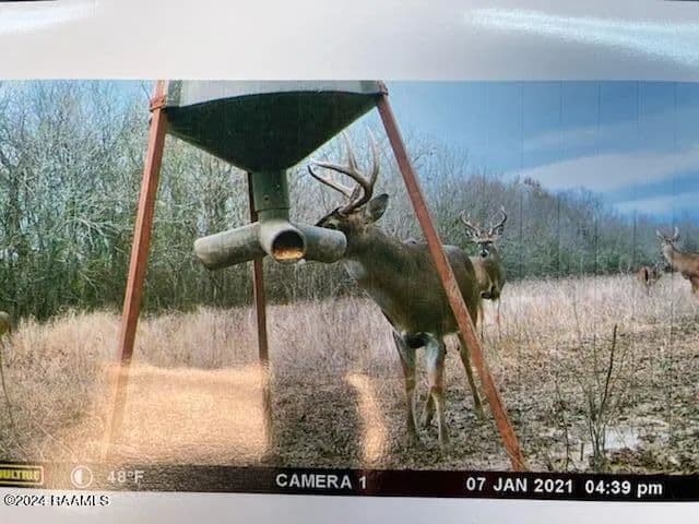 Property from 0 Effie Highway - KW