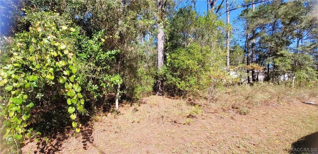 Lots & Land-Other in Citrus Springs - Citrus Springs, Florida, 34434
