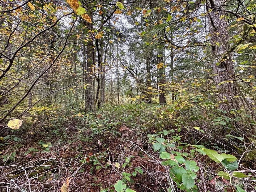 Vacant Land in Anderson Island