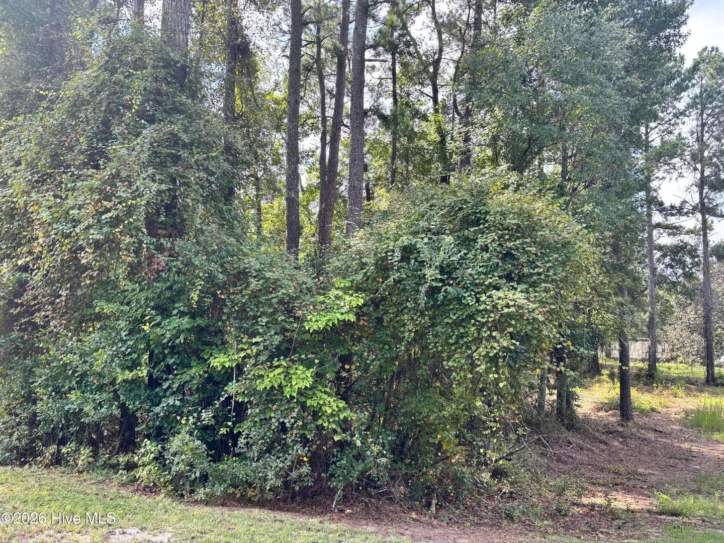 Vacant Land in Atkinson - Atkinson, North Carolina, 28421