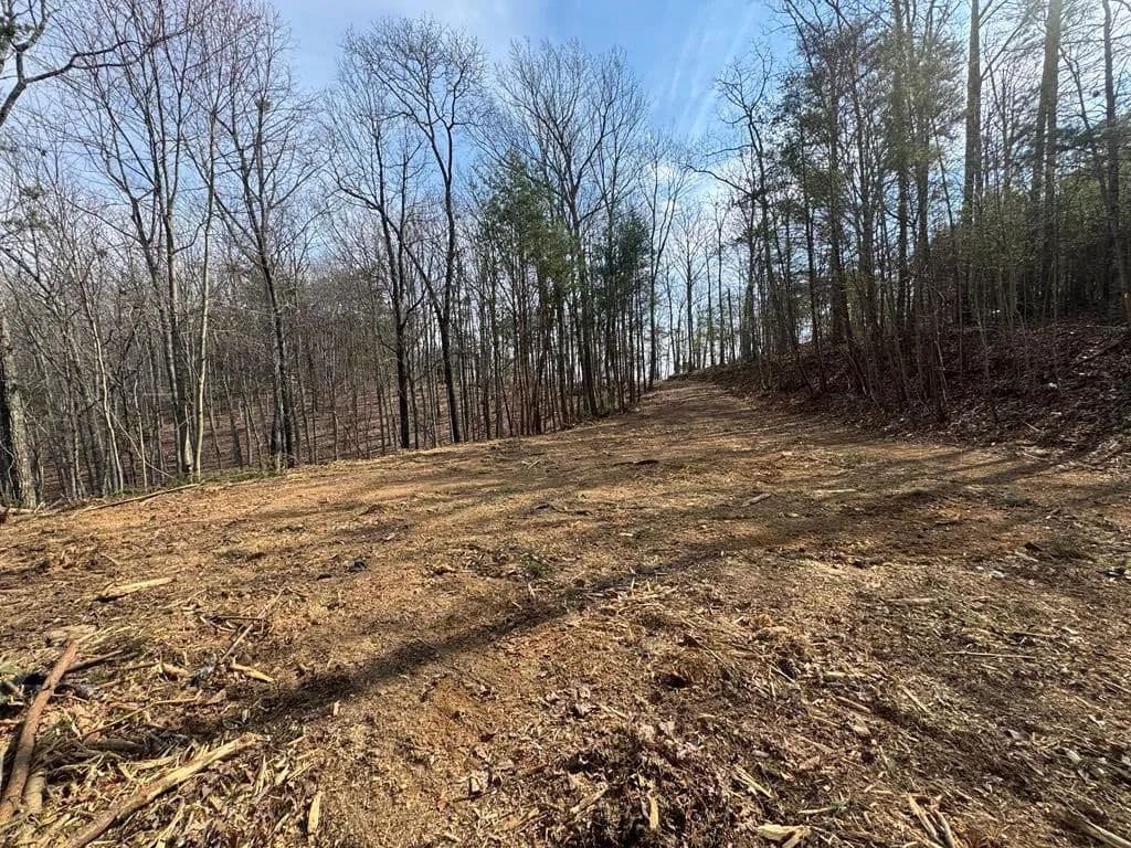 1.82 Acres of Land for Sale in Ranger, GA - Ranger, Georgia, 30734