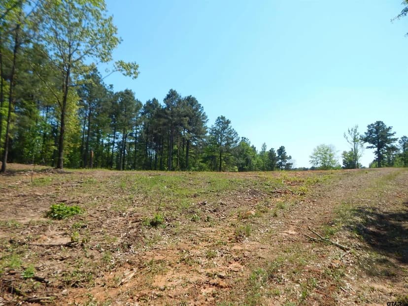 Vacant Land in Big Sandy