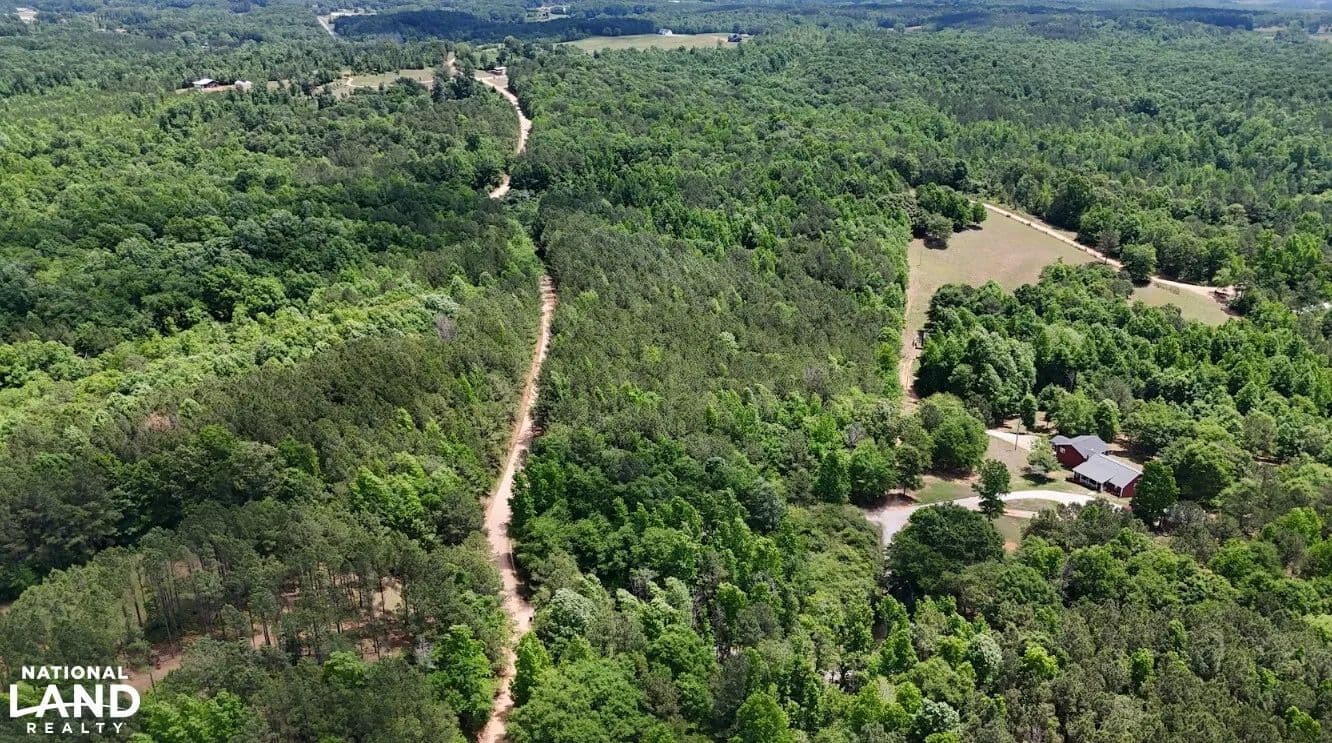 Creek Road Lot 2 - Ashland, Alabama, 36251