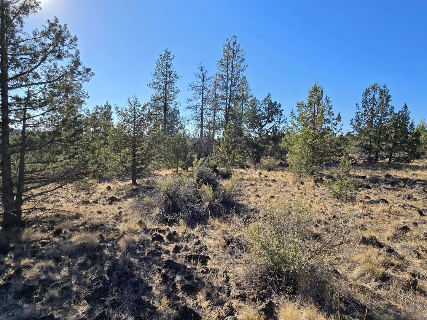 Lots & Land-Other in Bonanza - Bonanza, Oregon, 97623