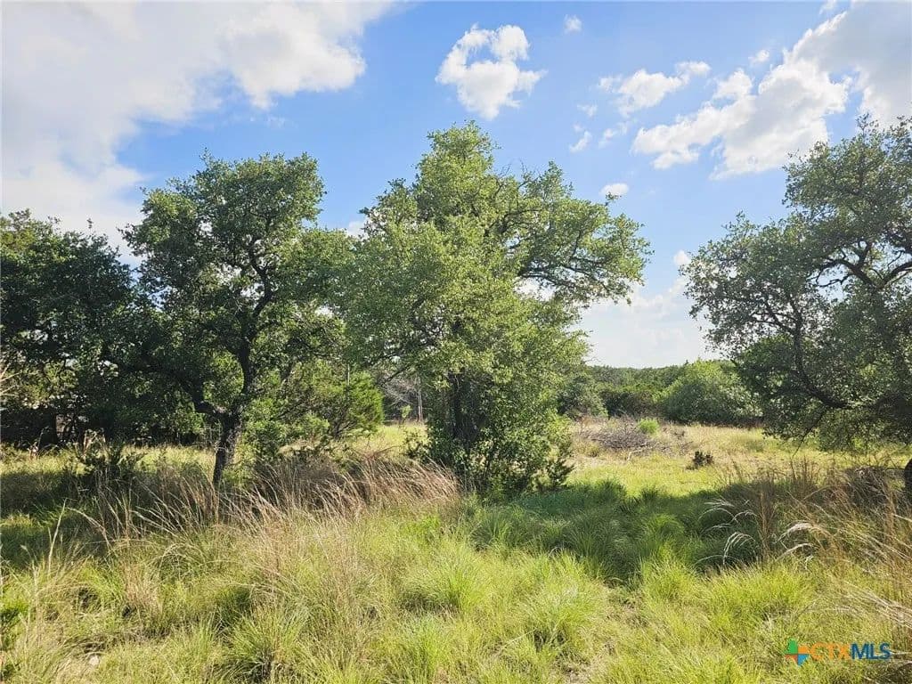 Vacant Land in Kempner - Kempner, Texas, 76539