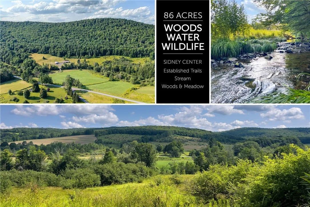 86.49 Acres of Land for Sale in Sidney, NY - Sidney, New York, 13838