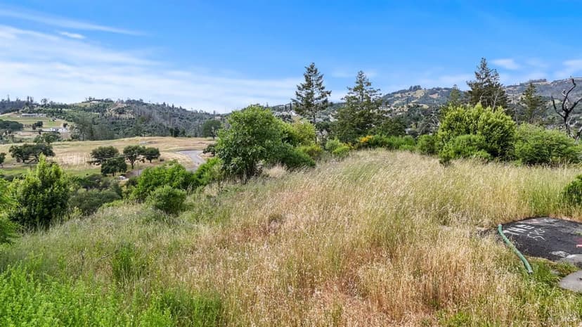 Vacant Land in Santa Rosa