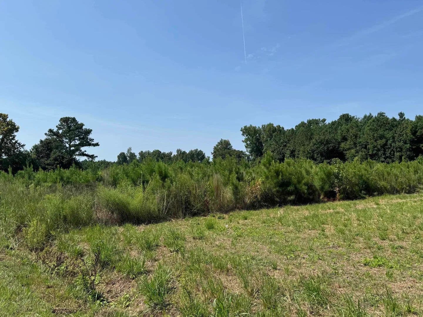 Vacant Land in Nichols - Nichols, South Carolina, 29581