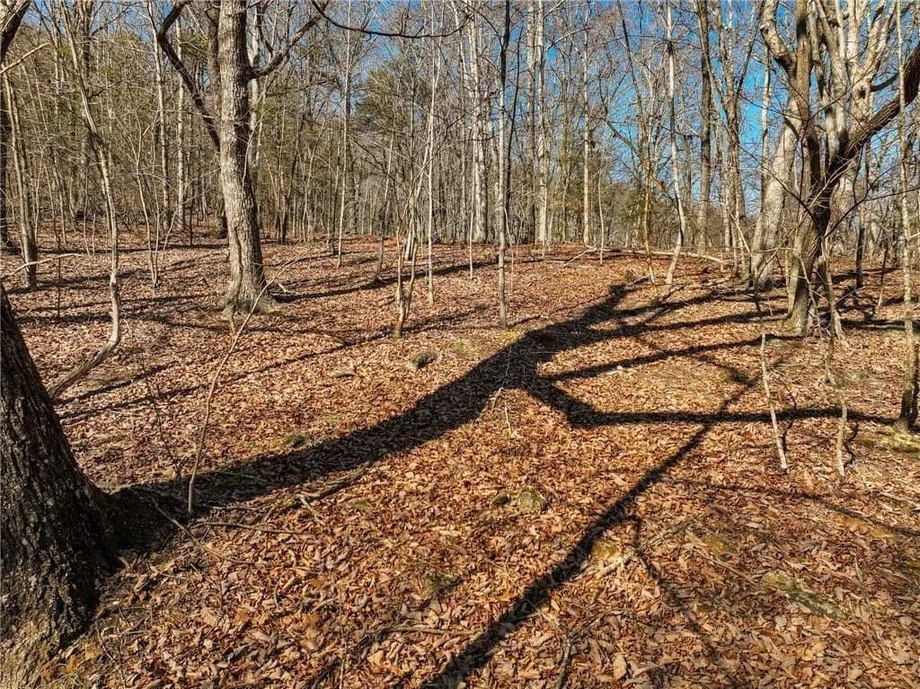 4.05 Acres of Land for Sale in Murrayville, GA - Murrayville, Georgia, 30564