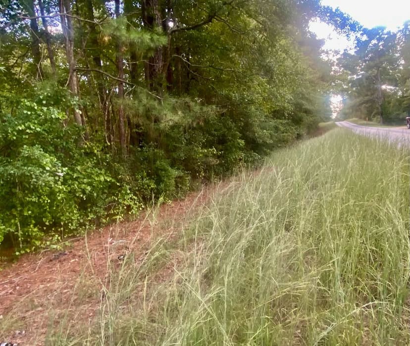 7.4 Acres | New Hebron, MS