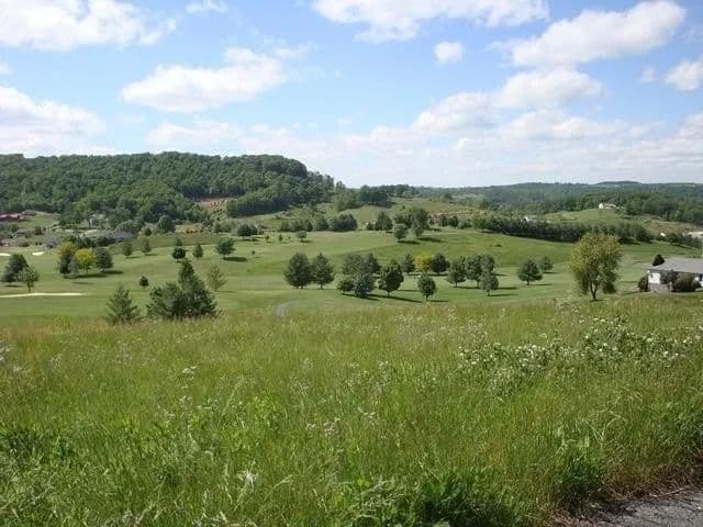 Lots & Land-Other in Peterstown - Peterstown, West Virginia, 24963