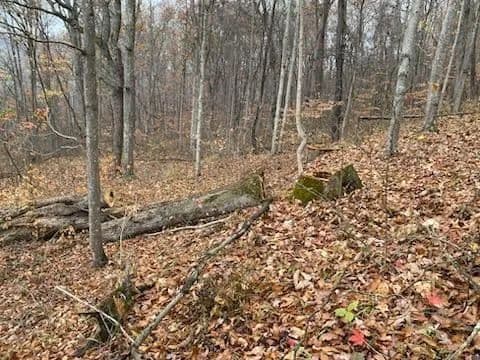 Lots & Land-Other in Ironton