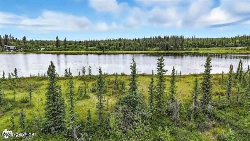 10 Acres of Land for Sale in Glennallen, AK - Glennallen, Alaska, 99588