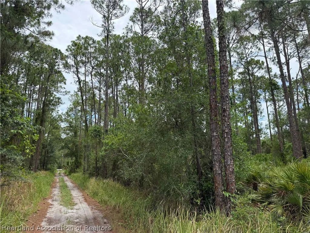 0.23 Acres of Land for Sale in Sebring, Florida - Sebring, Florida, 33875
