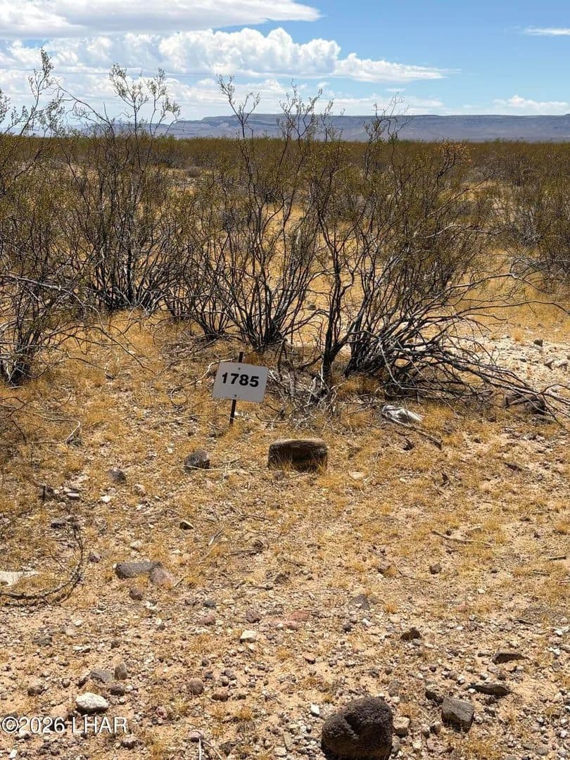 Vacant Land in Golden Valley - Golden Valley, Arizona, 86413