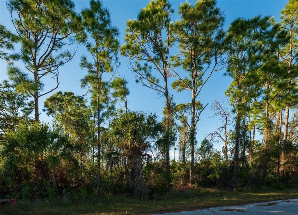 Vacant Land in Port Charlotte - Port Charlotte, Florida, 33981