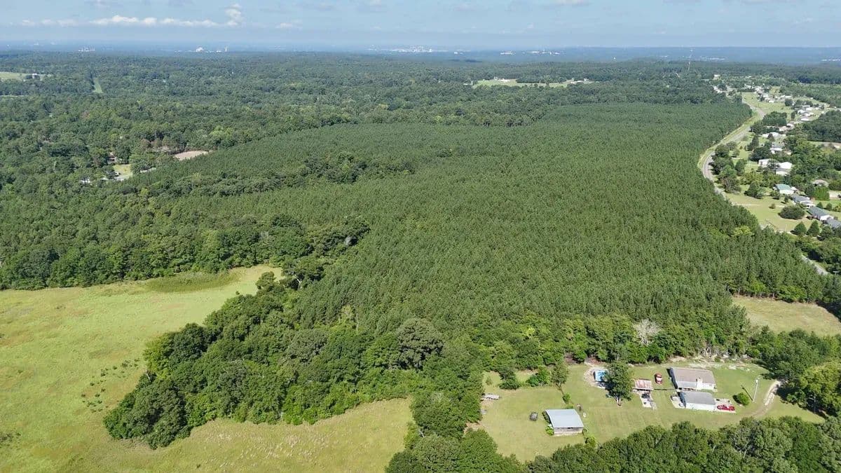 Herndon Dairy Tract - Beech Island, South Carolina, 29841