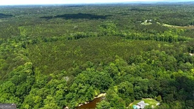 Vacant Land in Ellerslie - Ellerslie, Georgia, 31807