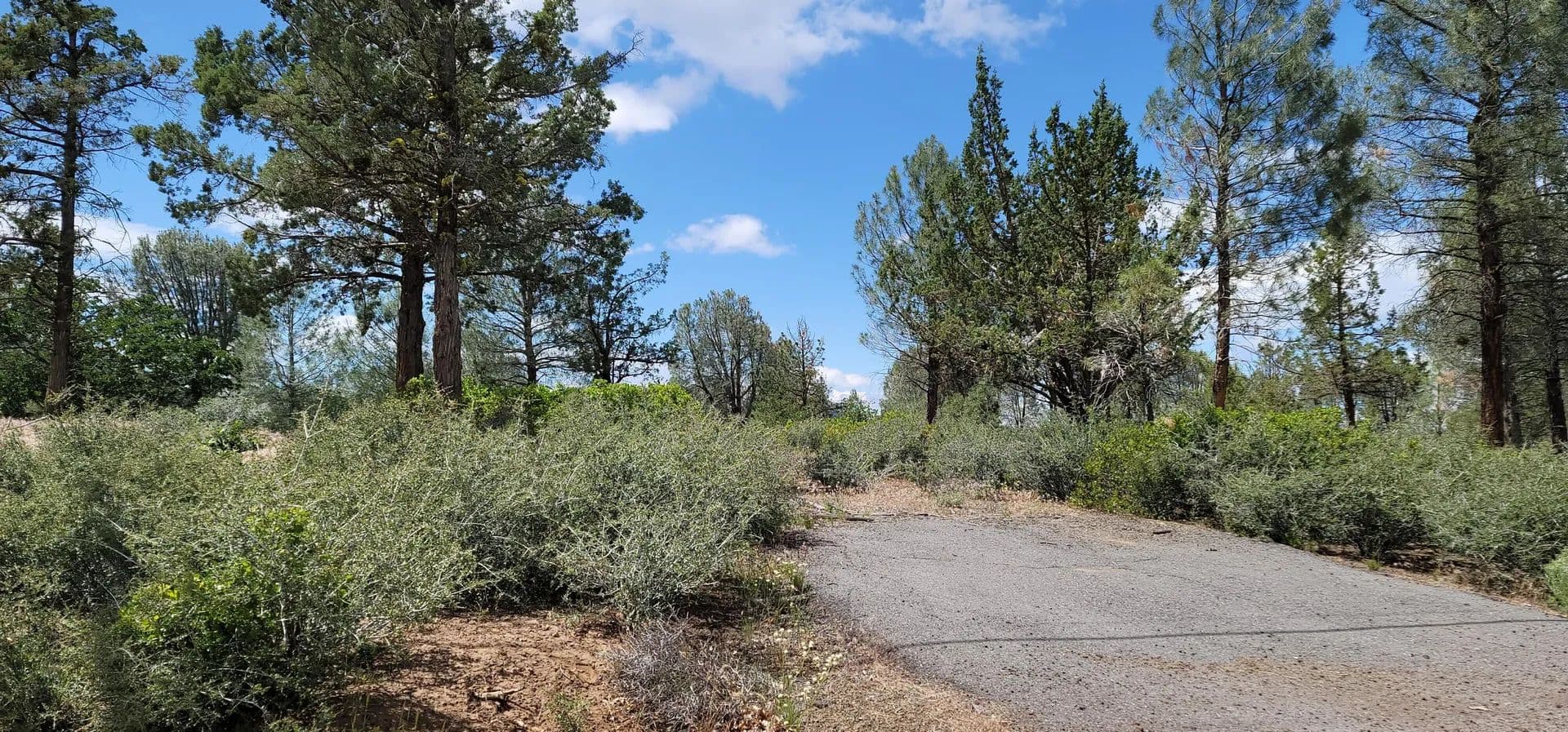 Lots & Land-Other in Fall River Mills - Fall River Mills, California, 96028